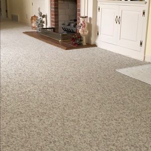 Meet your Posher, Bradie